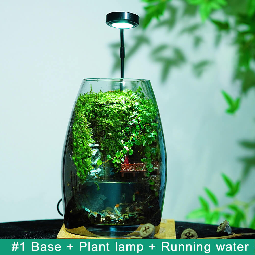 Minimalist LED Succulent Terrarium – Live Succulent Plants in Glass with Natural Stones and Grow Light