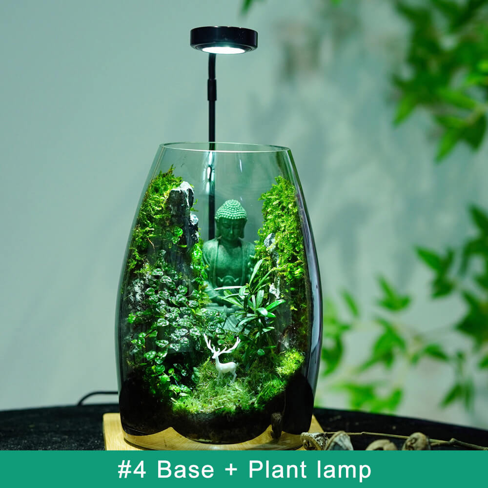 Minimalist LED Succulent Terrarium – Live Succulent Plants in Glass with Natural Stones and Grow Light