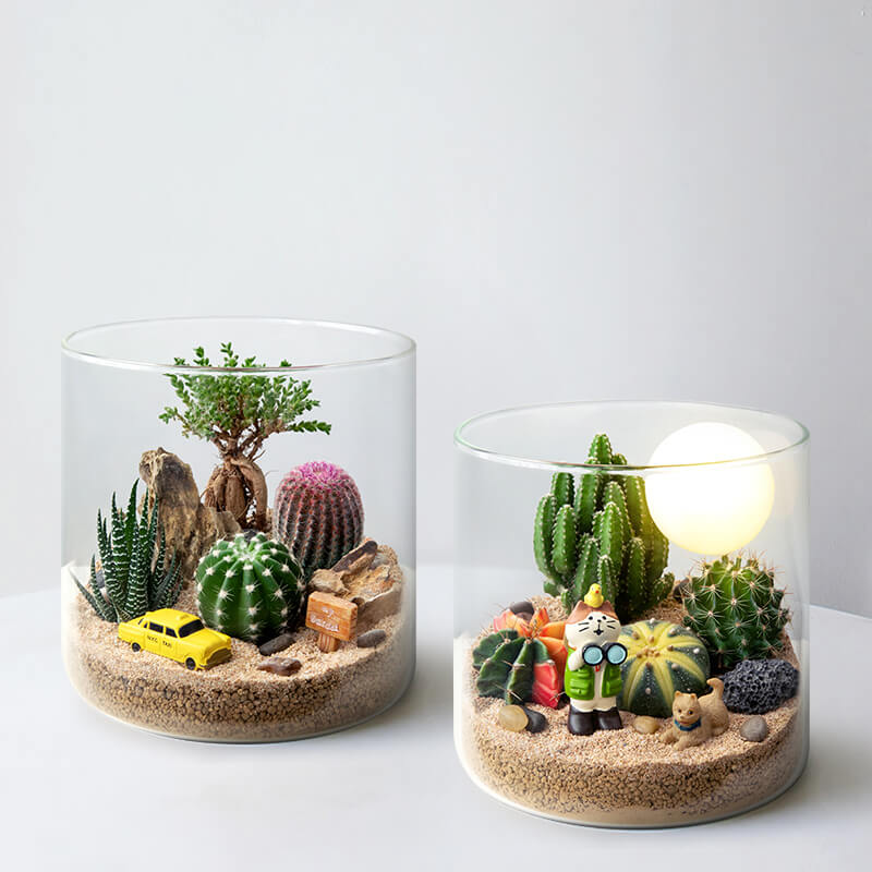 Handcrafted Glass Terrarium with Live Mini Plants – Unique Micro Landscape Décor for Home & Office