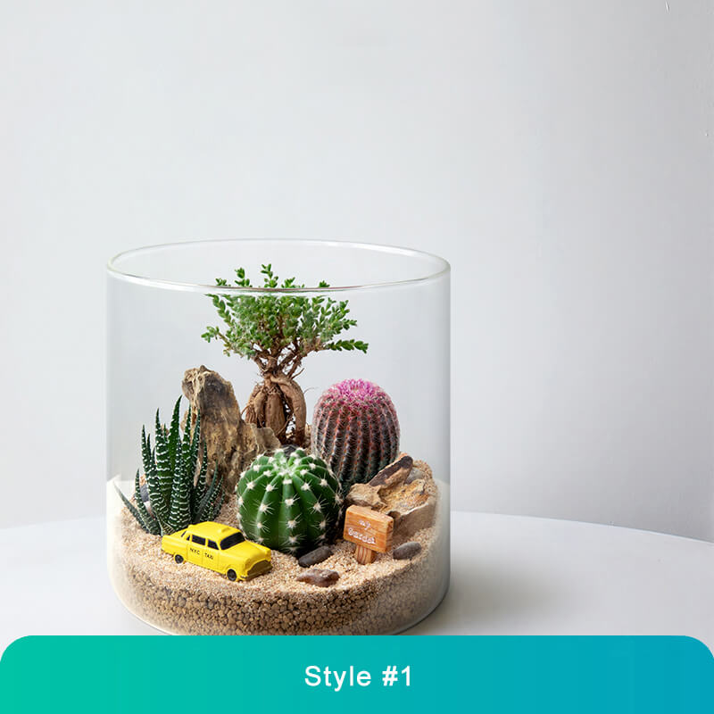 Handcrafted Glass Terrarium with Live Mini Plants – Unique Micro Landscape Décor for Home & Office