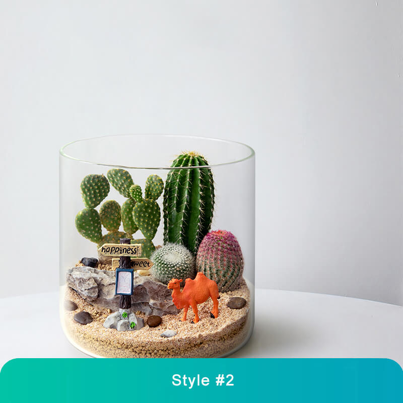 Handcrafted Glass Terrarium with Live Mini Plants – Unique Micro Landscape Décor for Home & Office