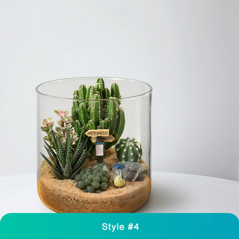 Handcrafted Glass Terrarium with Live Mini Plants – Unique Micro Landscape Décor for Home & Office