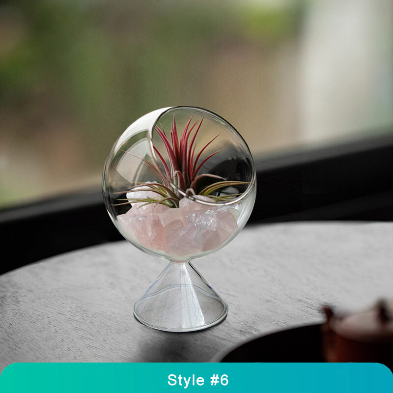 Air Plant Glass Terrarium – Stylish Live Plant Micro Landscape for Home & Office Décor