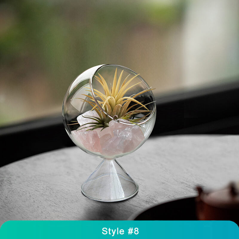 Air Plant Glass Terrarium – Stylish Live Plant Micro Landscape for Home & Office Décor